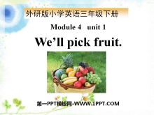 《We'll pick fruit》PPT课件3ppt课件