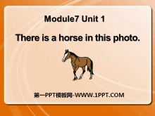 《There is a horse in this photo》PPT课件4ppt课件