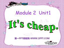 《It's cheap》PPT课件ppt课件