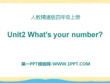 《What's your number?》PPT课件6ppt课件