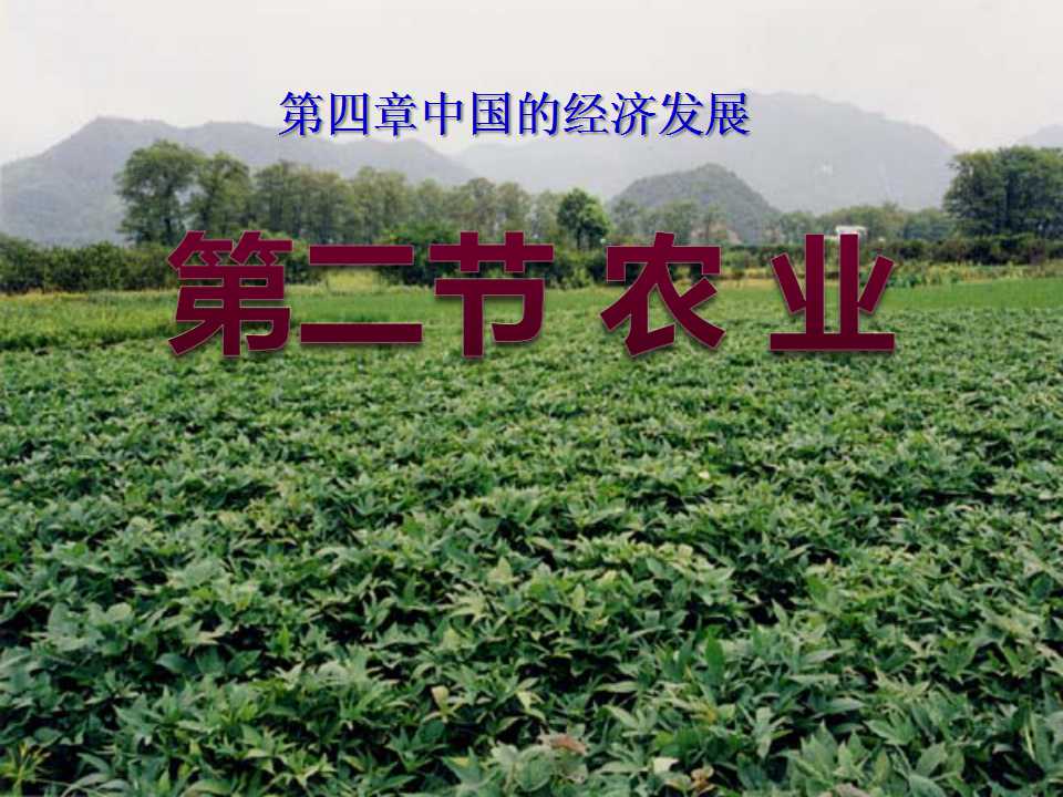 《农业》中国的经济发展PPT课件6