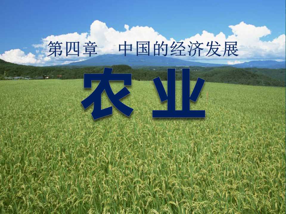 《农业》中国的经济发展PPT课件4