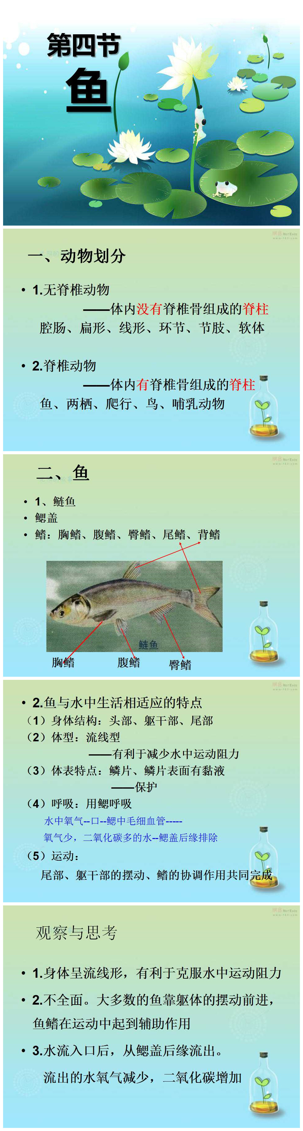 《鱼》动物的主要类群PPT课件6PPT课件下载