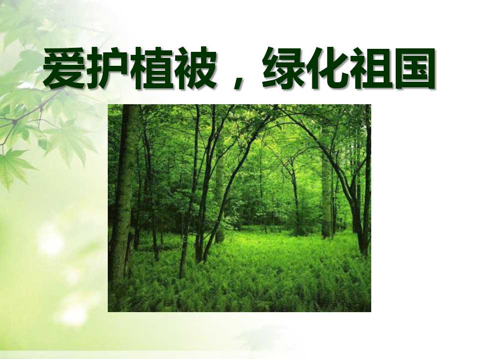 《爱护植被，绿化祖国》PPT课件5ppt课件