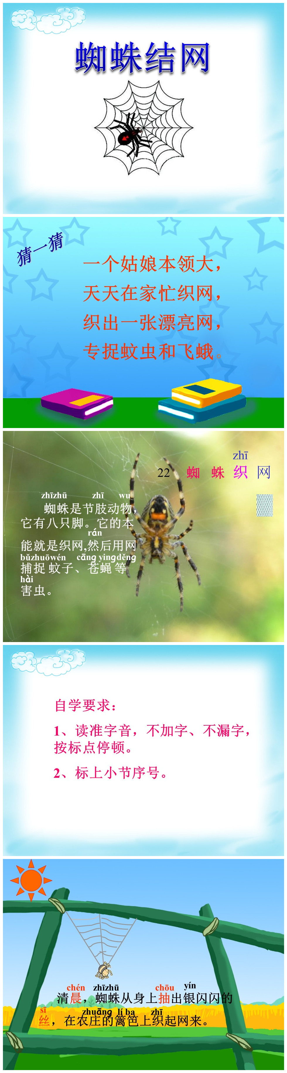 《蜘蛛织网》PPT课件3PPT课件下载
