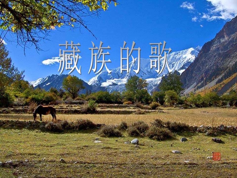《藏族的歌》PPT课件PPT课件下载