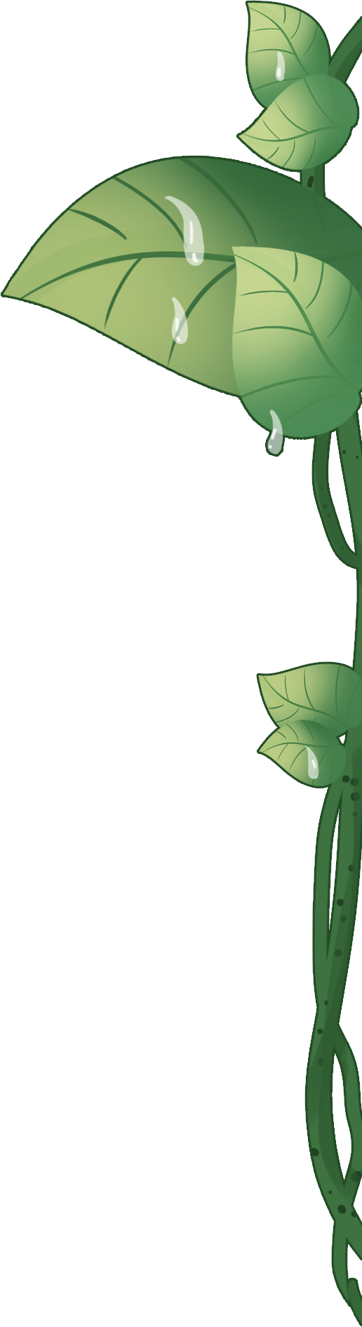 手绘绿色藤蔓植物矢量图