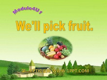 《We'll pick fruit》PPT课件4