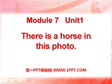 《There is a horse in this photo》PPT课件3