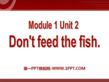 《Don't feed the fish》PPT课件