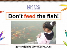 《Don't feed the fish》PPT课件2