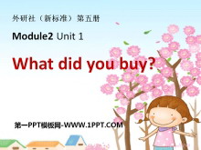 《What did you buy?》PPT课件2