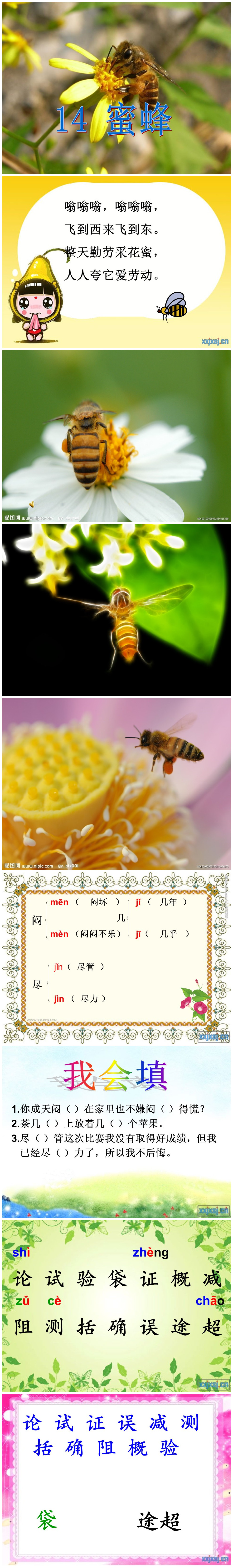 《蜜蜂》PPT课件2PPT课件下载