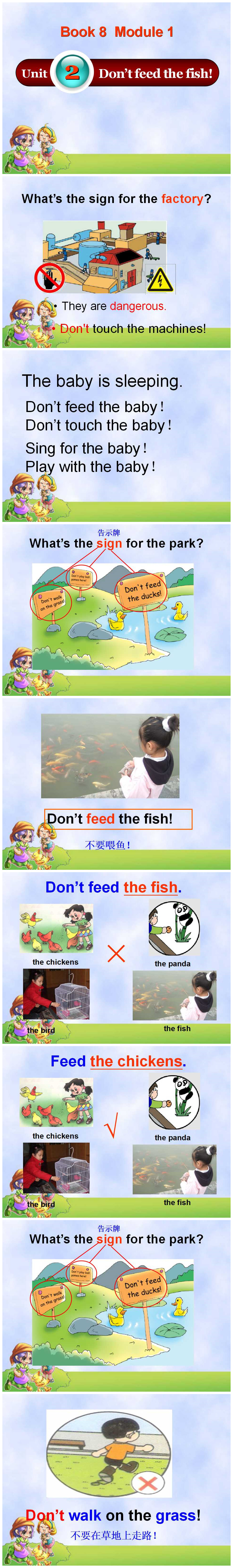 《Don't feed the fish》PPT课件4