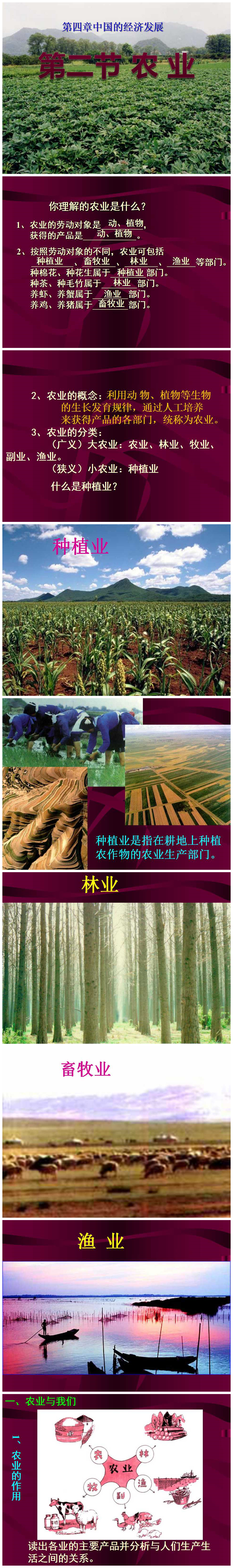 《农业》中国的经济发展PPT课件6PPT课件下载