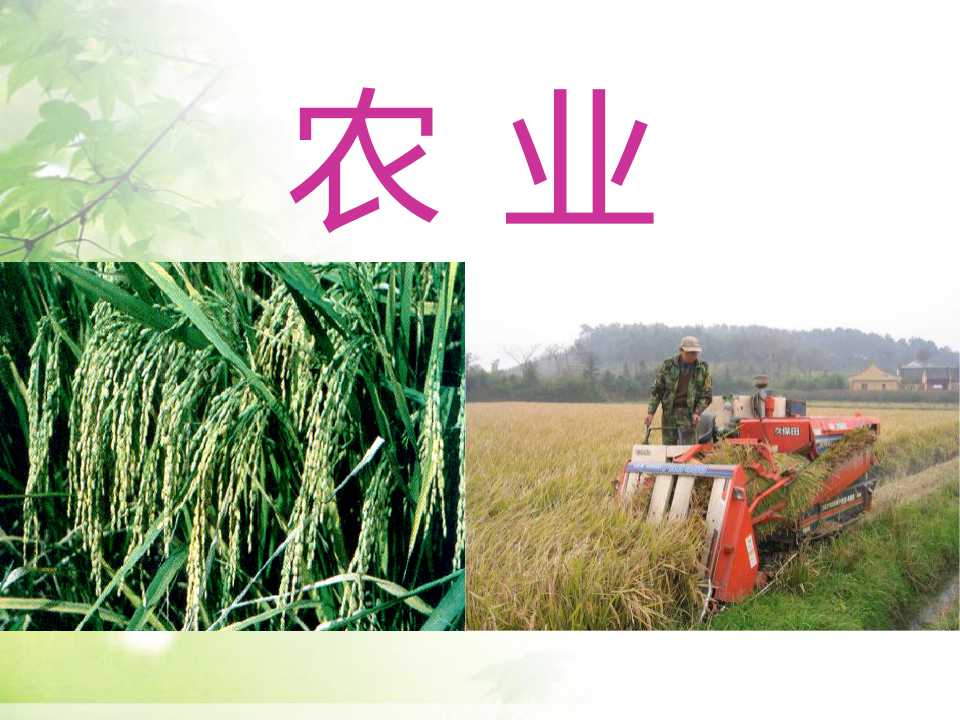 《农业》中国的经济发展PPT课件8
