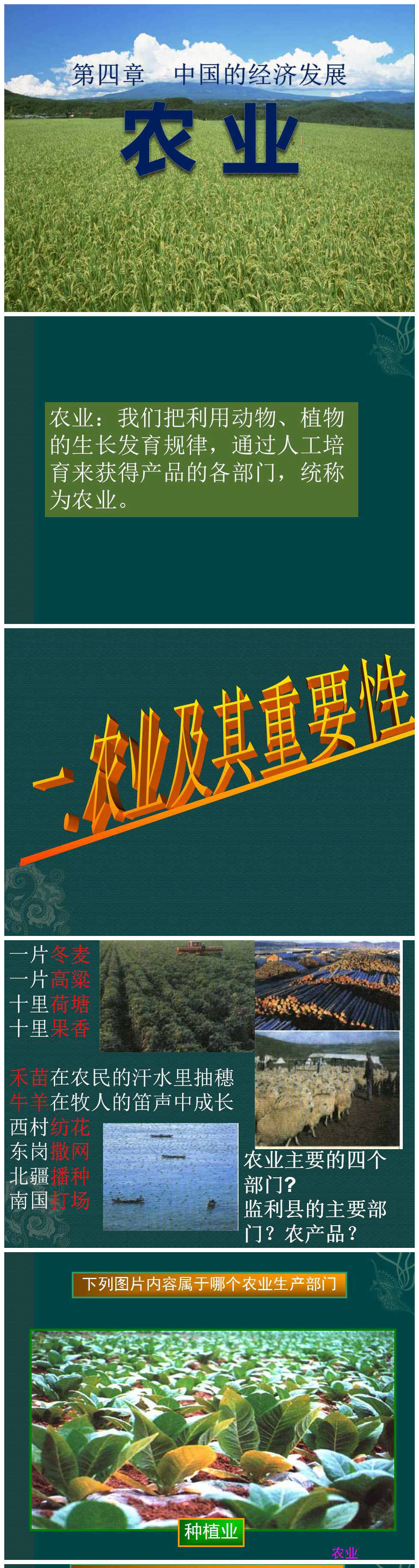 《农业》中国的经济发展PPT课件4PPT课件下载