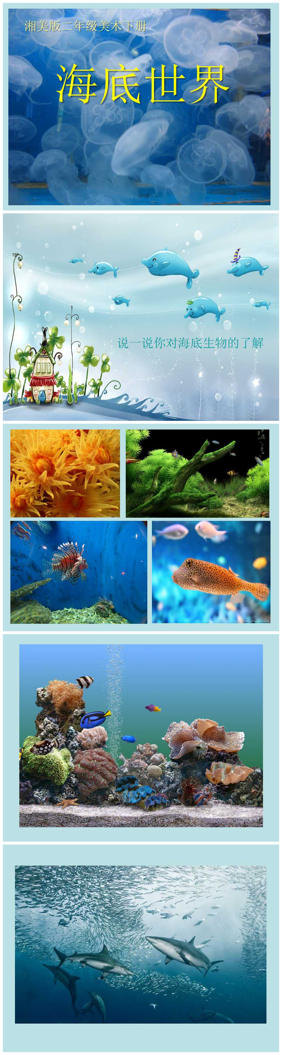 《海底世界》PPT课件下载