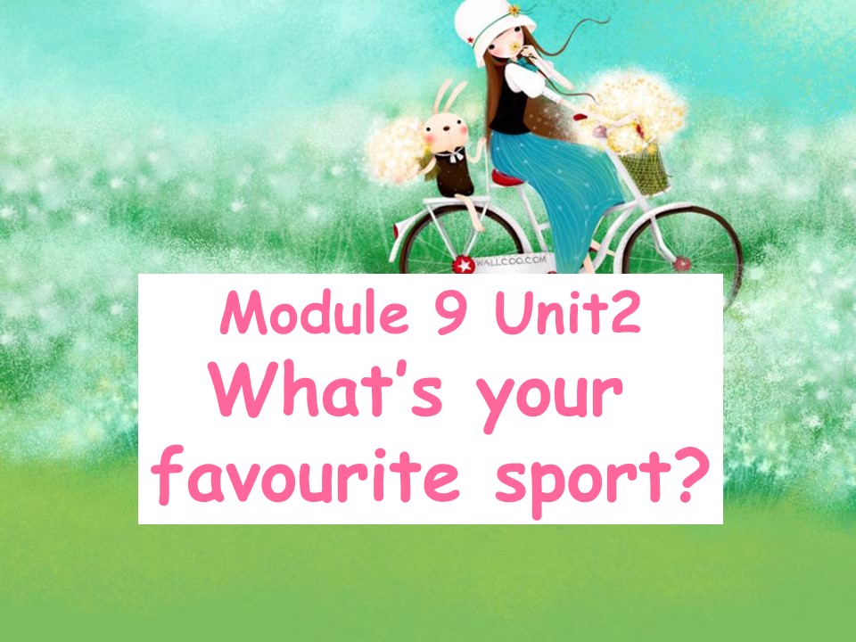 《What’s your favourite sport?》PPT课件