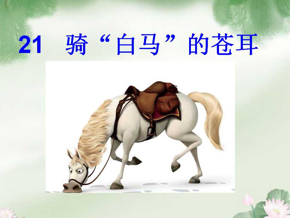 《骑“白马”的苍耳》PPT课件2