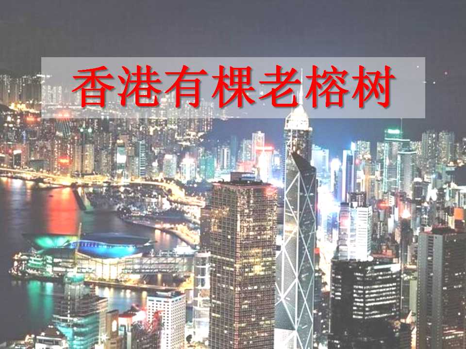 《香港有棵老榕树》PPT课件2