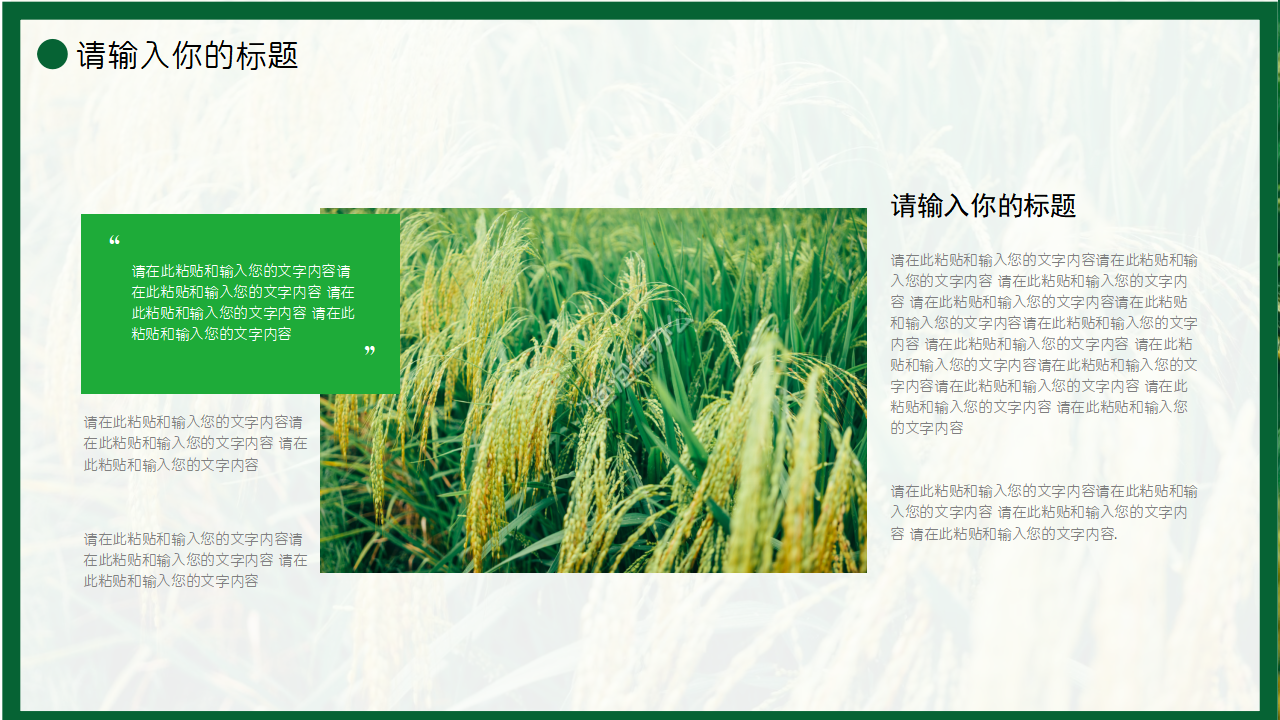 农产品水稻ppt模板