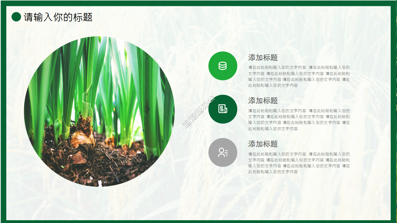 农产品水稻ppt模板